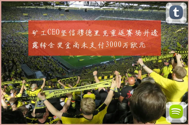 矿工CEO坚信穆德里克重返赛场并透露转会奖金尚未支付3000万欧元