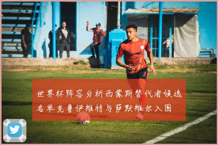世界杯阵容分析西蒙斯替代者候选名单克鲁伊维特与萨默维尔入围